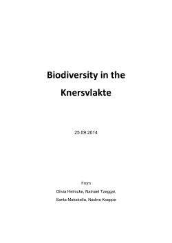 Biodiversity in the Knersvlakte