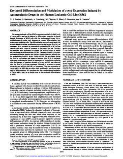Erythroid Differentiation and Modulation of c-myc