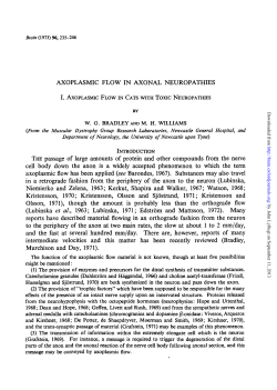 axoplasmic flow in axonal neuropathies