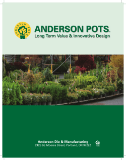 2 - Anderson Pots
