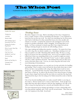 The Whoa Post - Big Sky Epagneul Breton Gun Dog Club