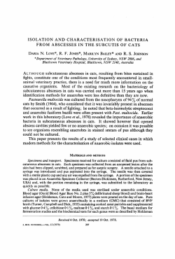 isolation and characterisation of bacteria from abscesses in the