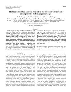 The hyperoxic switch: assessing respiratory water loss
