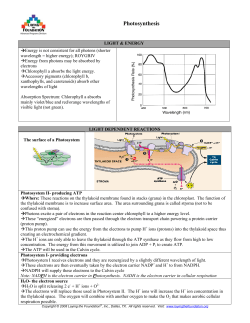 Photosynthesis - BellaireAPBio