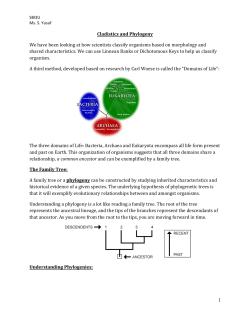 Cladistics and Phylogeny We have been looking at how scientists