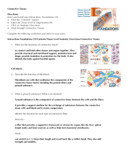 Connective Tissues Directions: Insert and install your Interactions
