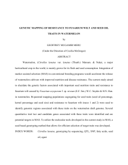 GENETIC MAPPING OF RESISTANCE TO FUSARIUM WILT AND