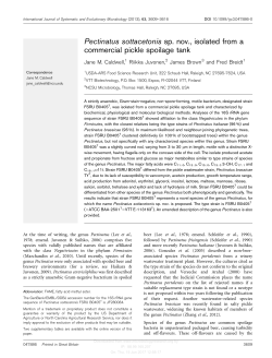 Pectinatus sottacetonis sp. nov., isolated from a commercial pickle