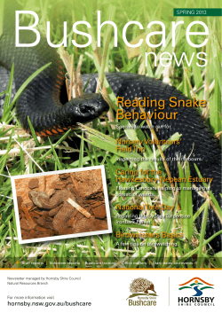 Reading Snake Behaviour