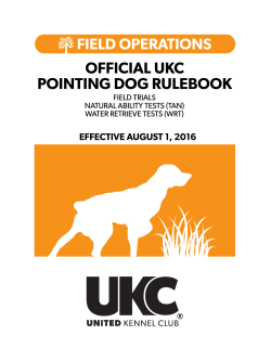 POINTING DOG RULES/GOAL