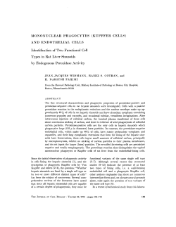 MONONUCLEAR PHAGOCYTES (KUPFFER CELLS)