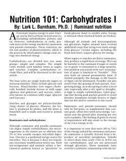 Nutrition 101: Carbohydrates I