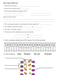 DNA Worksheet - Peoria Public Schools