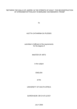 Icon - Unisa Institutional Repository