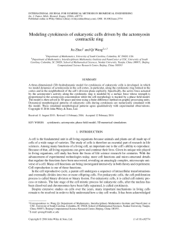 Modeling cytokinesis of eukaryotic cells driven by the actomyosin