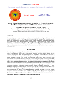 Copper Sulfate Nanoparticales In vitro Applications on Verbena