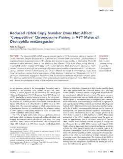 Reduced rDNA Copy Number Does Not Affect "Competitive