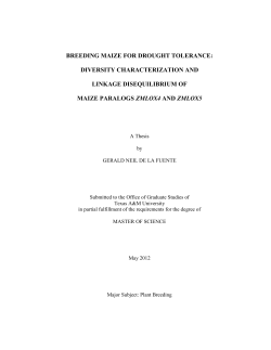 Breeding Maize for Drought Tolerance: Diversity Characterization