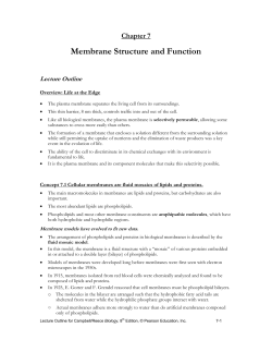 CHAPTER 8 MEMBRANE STUCTURE AND FUNCTION