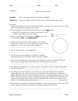 2.3.3 - Euglena Observations