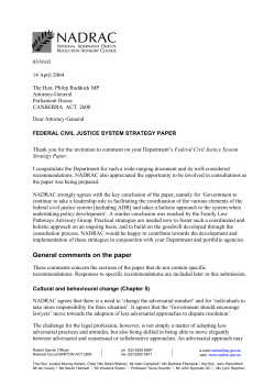 Federal Civil Justice System Strategy Paper Comments