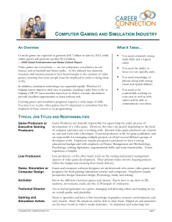 computer gaming and simulation industry