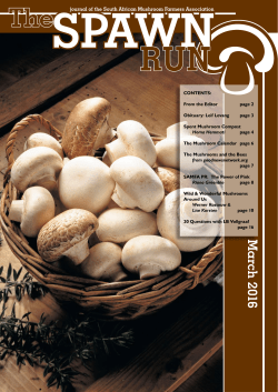 M a rch 2016 - Mushroom Info