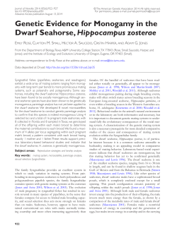 Genetic Evidence for Monogamy in the Dwarf Seahorse