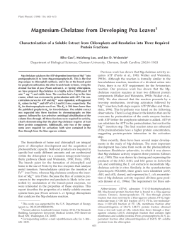 Magnesium-Chelatase from Developing Pea Leaves