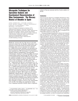 Microprobe Techniques for Speciation Analysis and Geochemical