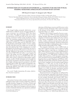 INTERACTION OF FUSARIUM OXYSPORUM f. sp