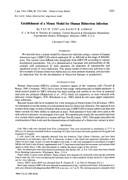 Establishment of a Mouse Model for Human Rhinovirus Infection
