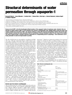 Structural determinants of water permeation through aquaporin-1