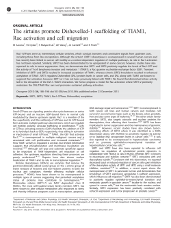 The sirtuins promote Dishevelled-1 scaffolding of TIAM1, Rac