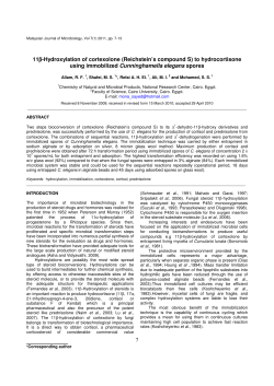 7 11β-Hydroxylation of cortexolone