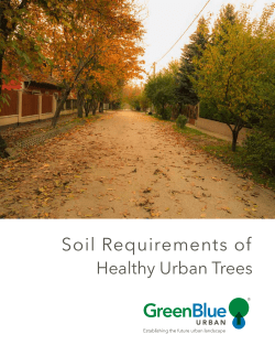 Soil Requirements of