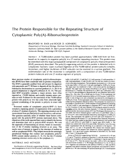 The Protein Responsible for the Repeating