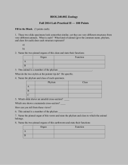 BIOL240.002 Zoology Fall 2014 Lab Practical II &mdash; 100 Points