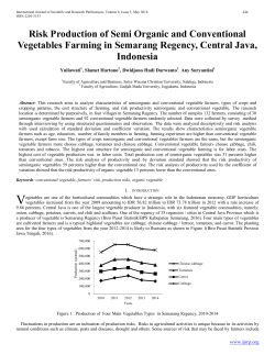 Risk Production of Semi Organic and Conventional Vegetables