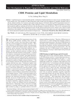 Cide Proteins and Lipid Metabolism