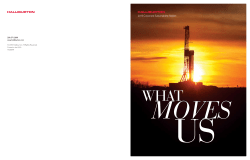 2013 Corporate Sustainability Report