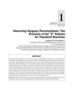 Dissecting Oxygenic Photosynthesis: The Evolution of the &ldquo;Z