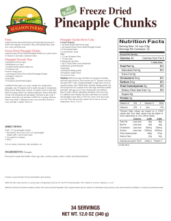 Freeze Dried Pineapple Chunks