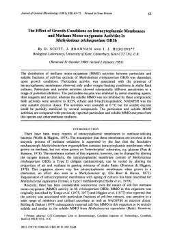 Methylosinus trichosporiurn 0 B 3b
