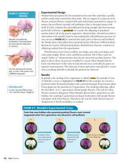FIGURE 6.9 Mendel`s Experimental Cross