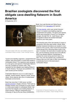 Brazilian zoologists discovered the first obligate cave