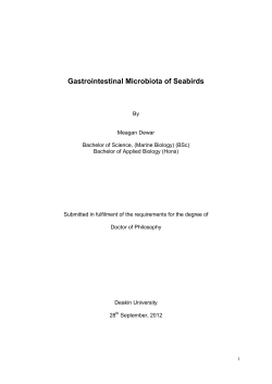 Gastrointestinal Microbiota of Seabirds - DRO