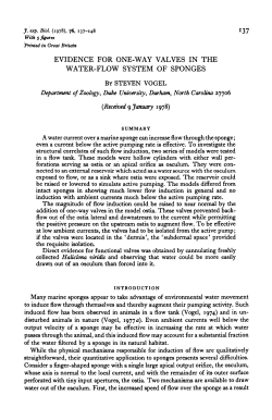 evidence for one-way valves in the water