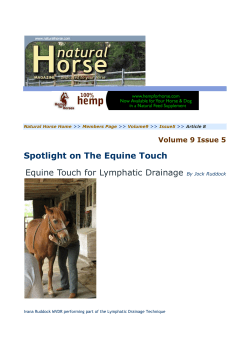 Spotlight on The Equine Touch Equine Touch for Lymphatic