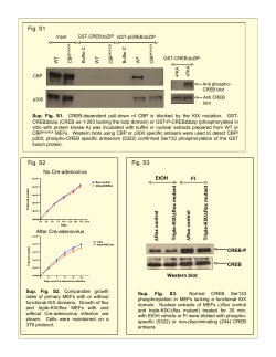 KIX EMBO sup figs resubmission final 5-1-07